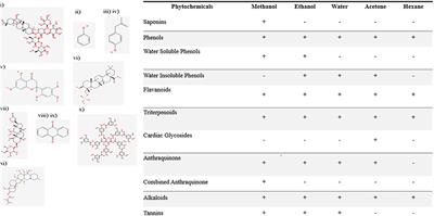 Frontiers | Phytochemical Profiling Of Antimicrobial And Potential ...